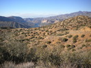 photo thumbnail #13