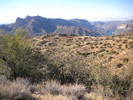 photo thumbnail #14