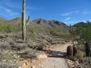 photo thumbnail #3