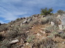 photo thumbnail #4
