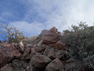 photo thumbnail #11