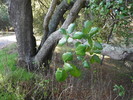 photo thumbnail #1