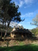 photo thumbnail #2
