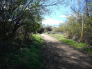 photo thumbnail #4
