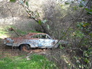 photo thumbnail #10