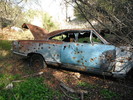photo thumbnail #12