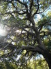 photo thumbnail #15