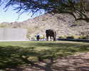 photo thumbnail #2