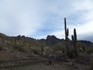 photo thumbnail #1