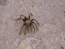 photo thumbnail #1