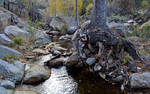 photo thumbnail #11