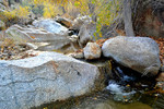 photo thumbnail #10