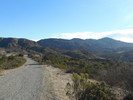 photo thumbnail #1