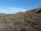 photo thumbnail #5