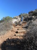 photo thumbnail #7
