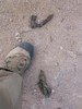 photo thumbnail #13