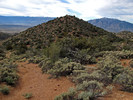 2013-12-10 :3: Explore DelShayBasinSW-RattlesnakeSpringArea :: Grasshopper