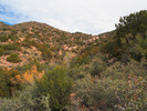 photo thumbnail #12