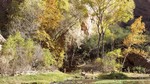 photo thumbnail #7