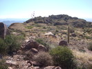 photo thumbnail #7