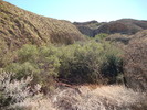 photo thumbnail #12