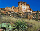 photo thumbnail #6