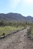 photo thumbnail #2