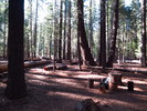 photo thumbnail #7