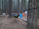 photo thumbnail #9