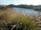 photo thumbnail #15
