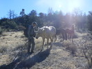 photo thumbnail #8