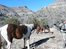 photo thumbnail #10