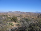 photo thumbnail #4