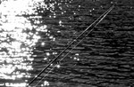 Featured Detail Photo