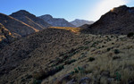 photo thumbnail #12