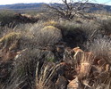 photo thumbnail #1