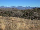 photo thumbnail #5