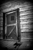 photo thumbnail #14