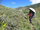 photo thumbnail #3