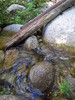 photo thumbnail #10