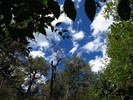 photo thumbnail #11
