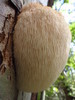 photo thumbnail #13