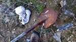 photo thumbnail #6