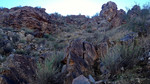 photo thumbnail #10