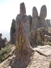 photo thumbnail #15