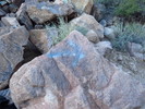 photo thumbnail #2