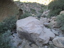 photo thumbnail #13