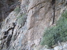 photo thumbnail #15