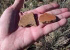 photo thumbnail #13