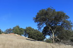 photo thumbnail #11